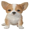 thumbnail image 4 of Hi-Line Gift Ltd Chihuahua Puppy Statue, Brown/White, 4 of 10