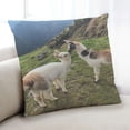 thumbnail image 1 of Ahgly Company Animals Llama Coussin d'Intérieur, 18 Pouces par 18 Pouces, 1 of 6