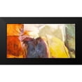 thumbnail image 2 of Demos, Jean-Luc 14x9 Black Modern Framed Museum Art Print Titled - Amour Fou, 2 of 5