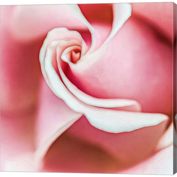 Great Art Now Wholly Joyous by Jessica Manelis, Canvas Wall Art, 24W x 24H