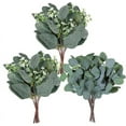 thumbnail image 1 of Zhuge 20 piezas de plantas verdes artificiales, 10 piezas de hojas de eucalipto ovaladas artificiales mixtas, tallos de semillas blancas y 10 piezas de decoración de plantas verdes, 1 of 5