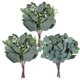 thumbnail image 1 of Zhuge 20 piezas de plantas verdes artificiales, 10 piezas de hojas de eucalipto ovaladas artificiales mixtas, tallos de semillas blancas y 10 piezas de decoración de plantas verdes, 1 of 5