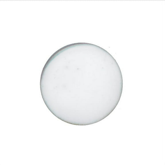 1055 White Thompson Opaque Enamel 2 Ounce