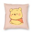 KCKTHDN Cute Pillow Cases Set of 2 Winnie The Pooh Throw Pillow Covers