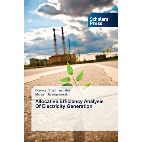 Allocative Efficiency Analysis Of Electricity Generation (Paperback)