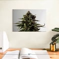 thumbnail image 3 of Elephant Stock Blossoming Cannabis Plant Wall Art - Horizontal Canvas Wall Art - Living Room Wall Decor - Floral And Botanical Canvas - Gray And Green Decor - 12" x 8", 3 of 8
