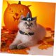 thumbnail image 4 of Disfraz de Bruja Accesorios Morados Disfraces de Halloween Sombrero de Cappy Disfraz de Gato Disfraz de Perro Morado Sombrero de Perro Sombrero de Halloween para Perros Halloween para Mascotas, 4 of 4