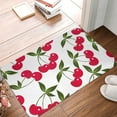 thumbnail image 5 of Balery Cherry Doormat, Durable Flannel Fabric, Waterproof Stain and Fade Resistant, Low Profile,Indoor Outdoor Door Mats, Easy Clean Patio Entrance Mat, 16x24in, 5 of 9