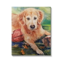 Stupell Industries Retriever Dog with Football Animals & Insects Painting Gallery Wrapped Canvas Print Wall Art, 16 x 20