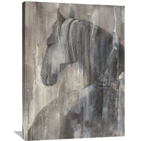 Global Gallery Albena Hristova 'Glance' Canvas Wall Art