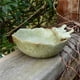 thumbnail image 4 of Advancent Comedero para pájaros Herramientas de alimentación para mascotas Regalo de inauguración diario Suministros de jardinería Maceta Jardín y Patio, 4 of 6