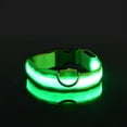 thumbnail image 1 of Glow-In-The-Dark Pet Collar For Small Medium Dogs, LED Dog Collar For Night Walking, 1 of 5