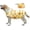 Yellow Ducks, variant on MAMORE Dog Raincoat Hooded Slicker Poncho with Leash Hole, Waterproof Dog Rain Jacket with Reflective Strip for Small to 3X-Large Dogs and Puppies Packable (Yellow Ducks, Medium)