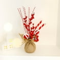 thumbnail image 1 of Ganfancp Adornos para El Árbol de Navidad Decoración Escena de Navidad Bayas Rojas Mini Decoraciones Del Árbol de Navidad Ofertas Del Día Sólo En Línea 1 Adorno, 1 of 6