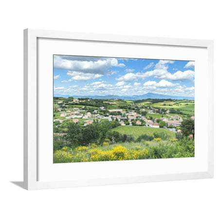 Rhone Valley, Chateauneuf du Pape, France Framed Print Wall Art By Jim