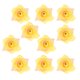 thumbnail image 1 of 10 unids cabezas de rosas artificiales Sunnimix Flores artificiales, 1 of 8