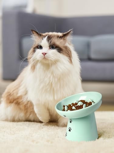 Slow Feeder Cat Bowl, Ceramic Cat Slow Feeder Bowl, 6 Inches, Elevated, Anti Vomiting for Dry and Wet Food, Green