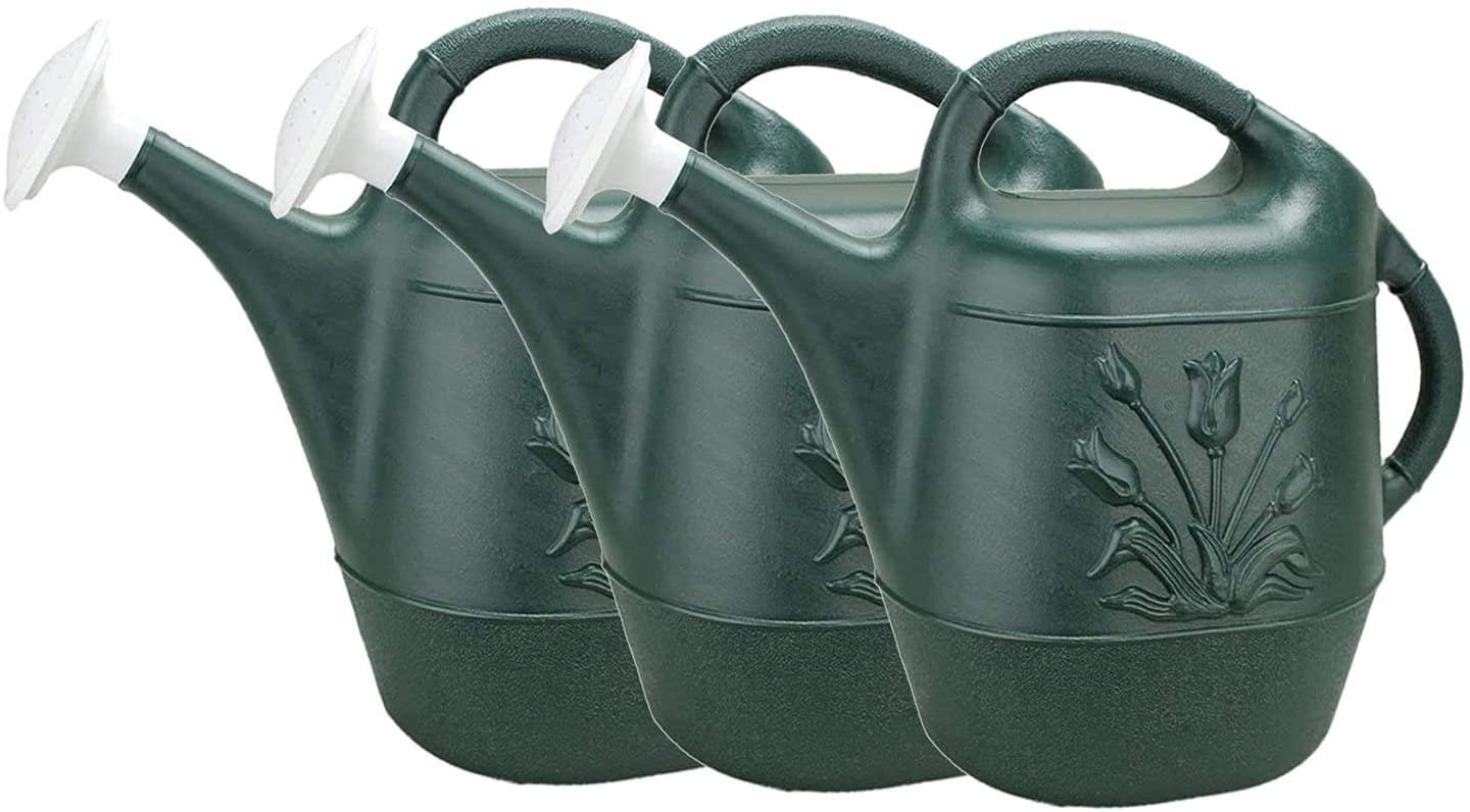 75 oz./2.2L, Regent Plastic Watering Can with Floral Embossed Detail Green 