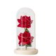 thumbnail image 3 of Cubierta de cristal rosa flor eterna dos led luminosos adornos creativos Navidad día de la madre regalo de San Valentín., 3 of 6