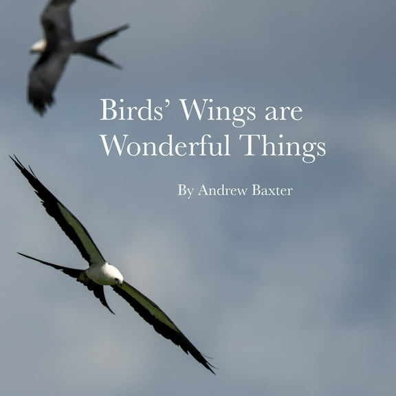 Birds' Wings are Wonderful Things (Paperback)