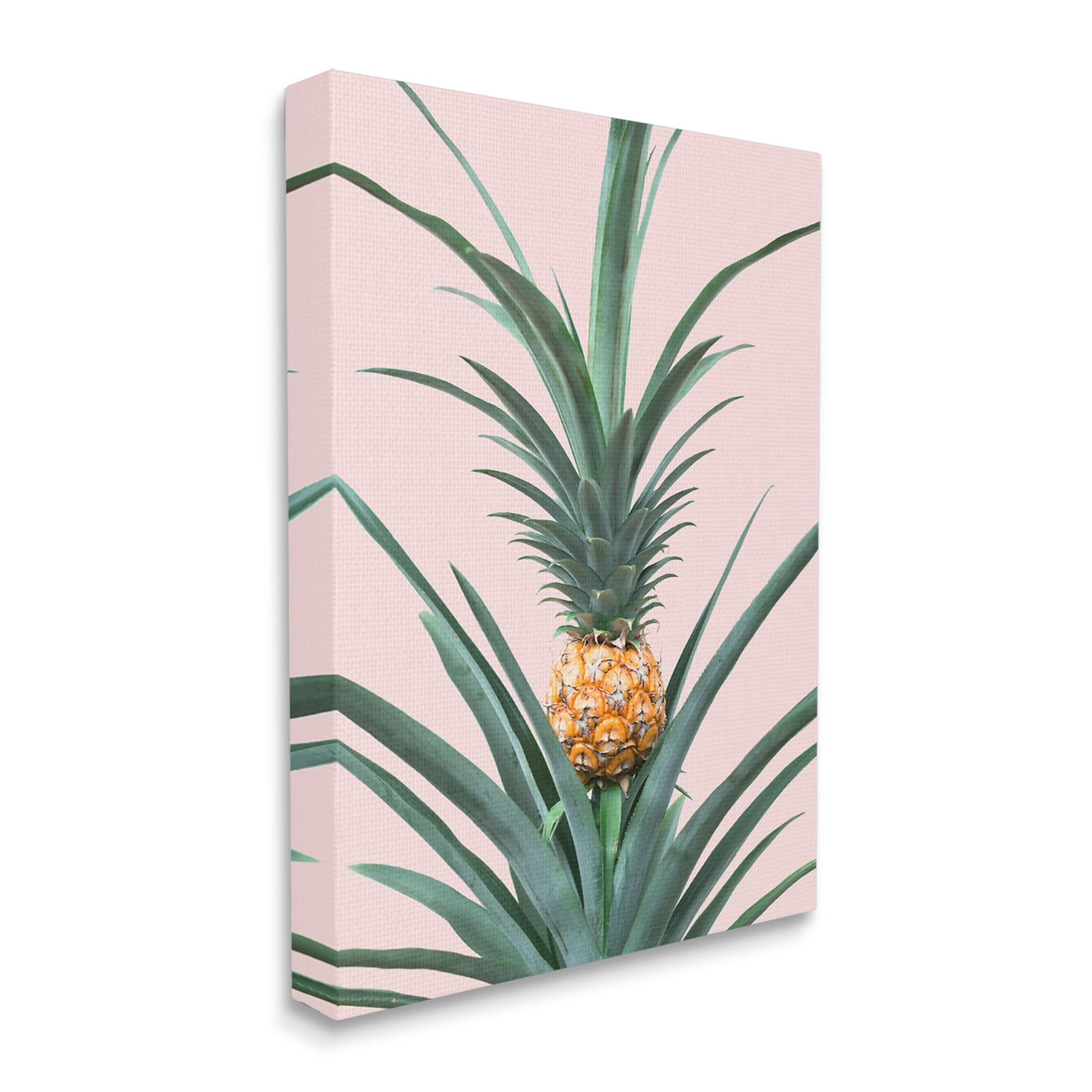 Stupell Industries Pineapple Plant on Pink Food & Beverage Photography Gallery Wrapped Canvas Print Wall Art, 30 x 40