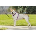 PetSafe 3-in-1 harnas in autobeperking, grooot, pruim, geen trek, verstelbaar, training voor kleine, middelgrote en grote honden
