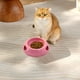 thumbnail image 5 of pstuiky Tazón para cachorros Tazón para gatos Tazón para comida Tazón para mascotas que evita vuelcos Tazón para perros y gatos Tazón para agua potable, 5 of 6
