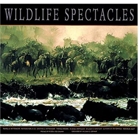 Pre-Owned Wildlife Spectacles (Hardcover) 9789686397727