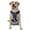 With Accessories, variant on Vsdgher Crystal Pattern White Horse Pattern Dog Harness,No Pull Pet Harness with Soft Padded Handle,Adjustable Reflective Vest with 2 Buckles,4 Slide Buckles,S-XL