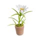 thumbnail image 5 of Flores en maceta en miniatura, planta de casa de muñecas, Mini bonsái, miniplanta en maceta, flores con maceta de cerámica, 5 of 9