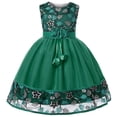 thumbnail image 2 of Girl's Embroidered Dress Girl's Evening Lace Princess Dress Flower Girl Mesh Fluffy Dress, 2 of 8