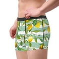 thumbnail image 4 of Bingfone Lemon Men'S Underwear - Casual Stretch Boxer Briefs-Large, 4 of 9