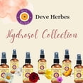thumbnail image 4 of Deve Herbes Ylang Ylang Floral Water (Hydrosol) (Cananga Odorata) Glass Bottle 50ml for Face Mist, Skin Care & Daily Refreshing Use, 4 of 5