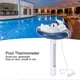 thumbnail image 3 of Termómetro flotante con forma de animalito de dibujos animados para piscinas, jacuzzis y estanques., 3 of 5