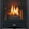 thumbnail image 3 of ProCom Dual Fuel Ventless Gas Fireplace System-10,000 BTU, T-Stat Control, Chocolate-Model#FS100T-CH, 3 of 5