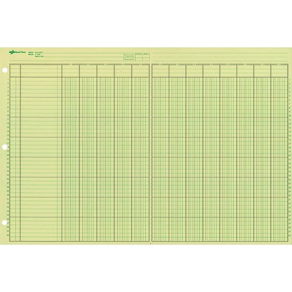 Rediform, RED45613, National Side Punched Analysis Pads, 50 / Pad