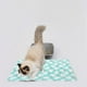 thumbnail image 5 of Almohadilla Térmica para Mascotas, para Gatos y Perros | Tapete de Vellón Grueso y Autocalentable | Suave, Silencioso y Lavable | Cama Térmica Portátil de 50 X 40 Cm para Cachorros, Gatitos, Perros P, 5 of 6