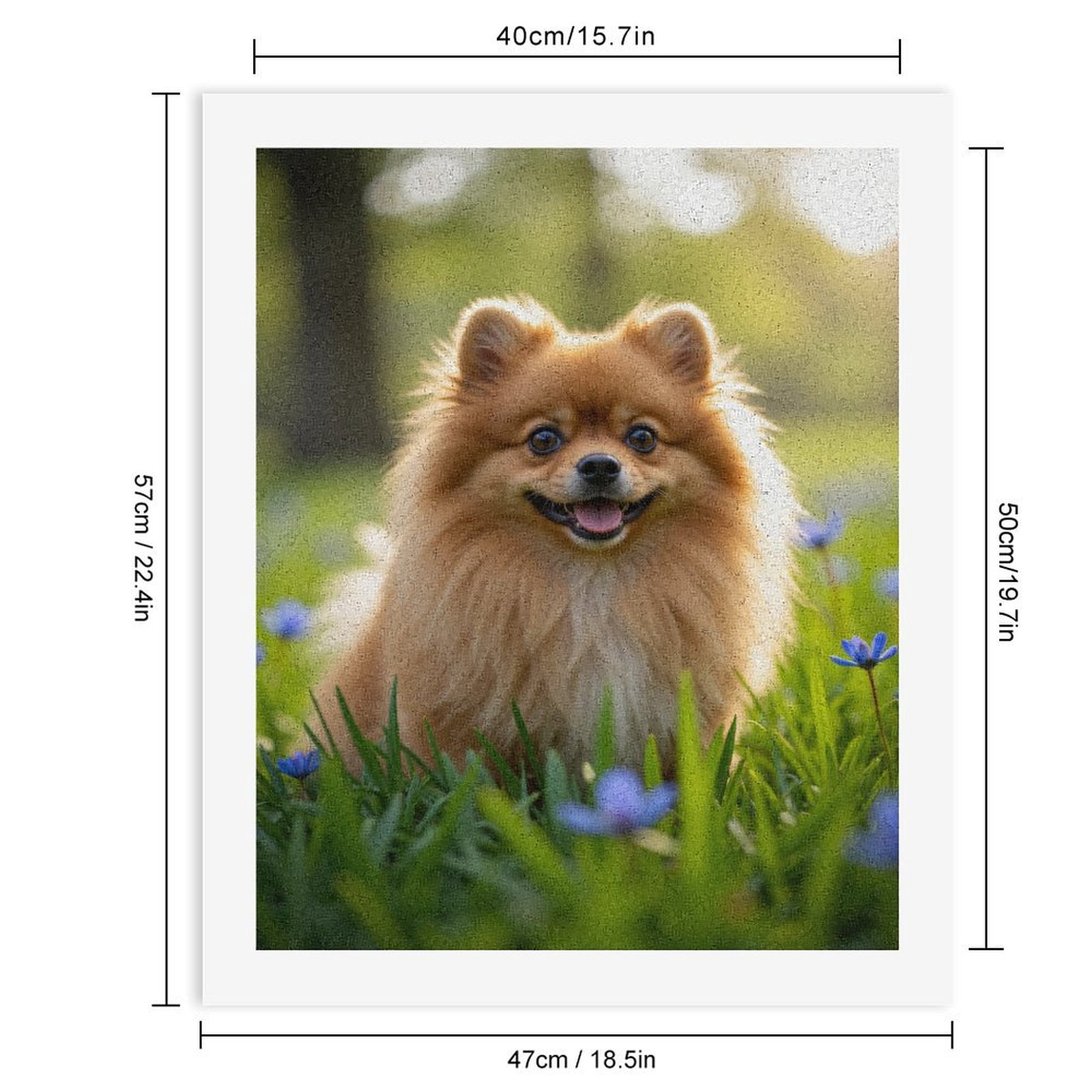 Paint by Numbers Kit for Adults, Cute Pomeranian In Meadow Paint by Numbers, Easy Paint by Numbers Kit for Adults Beginner, DIY Adult Paint by Number Kits on Canvas, Home Decor