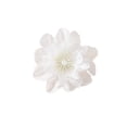 thumbnail image 2 of Cabezas de Flores de Seda - Paquete de 10 Cabezas de Rosas Artificiales de Tela, Decoraciones Falsas de 2.95 Pulgadas para Manualidades DIY, Decoración de Bodas, Coronas, Ramilletes, Decoración del, 2 of 6