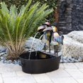 thumbnail image 3 of Spot transfronterizo nueva artesanía de resina Toucan Toucan fuente jardín patio arte decoración Tucán cubo de almacenamiento, 3 of 6
