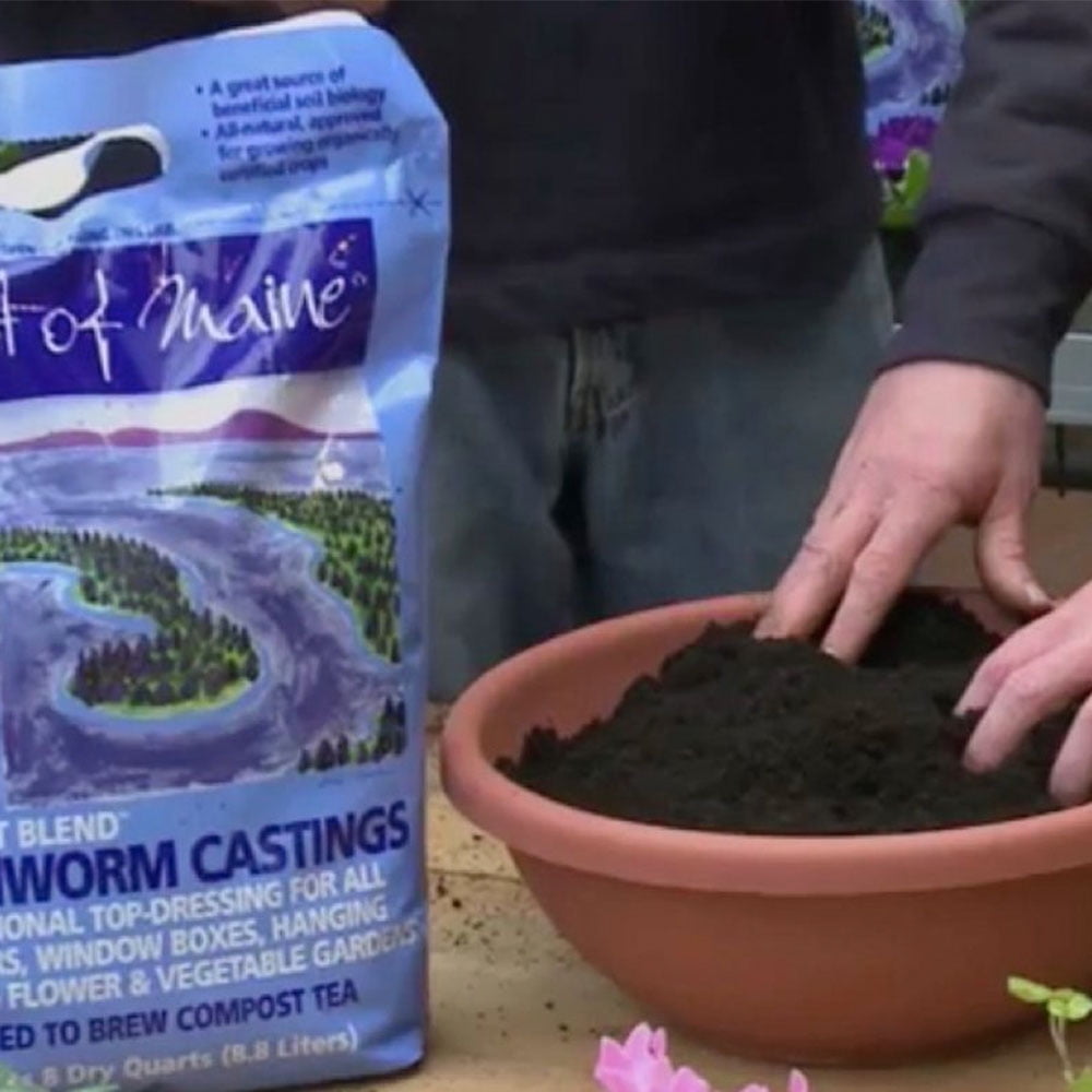 Coast of Maine Wiscasset Blend Earthworm Potting Soil, 8 Quart Bag (2 Pack)