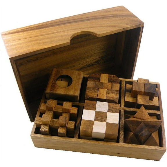 6 Wooden Puzzles Gift Set