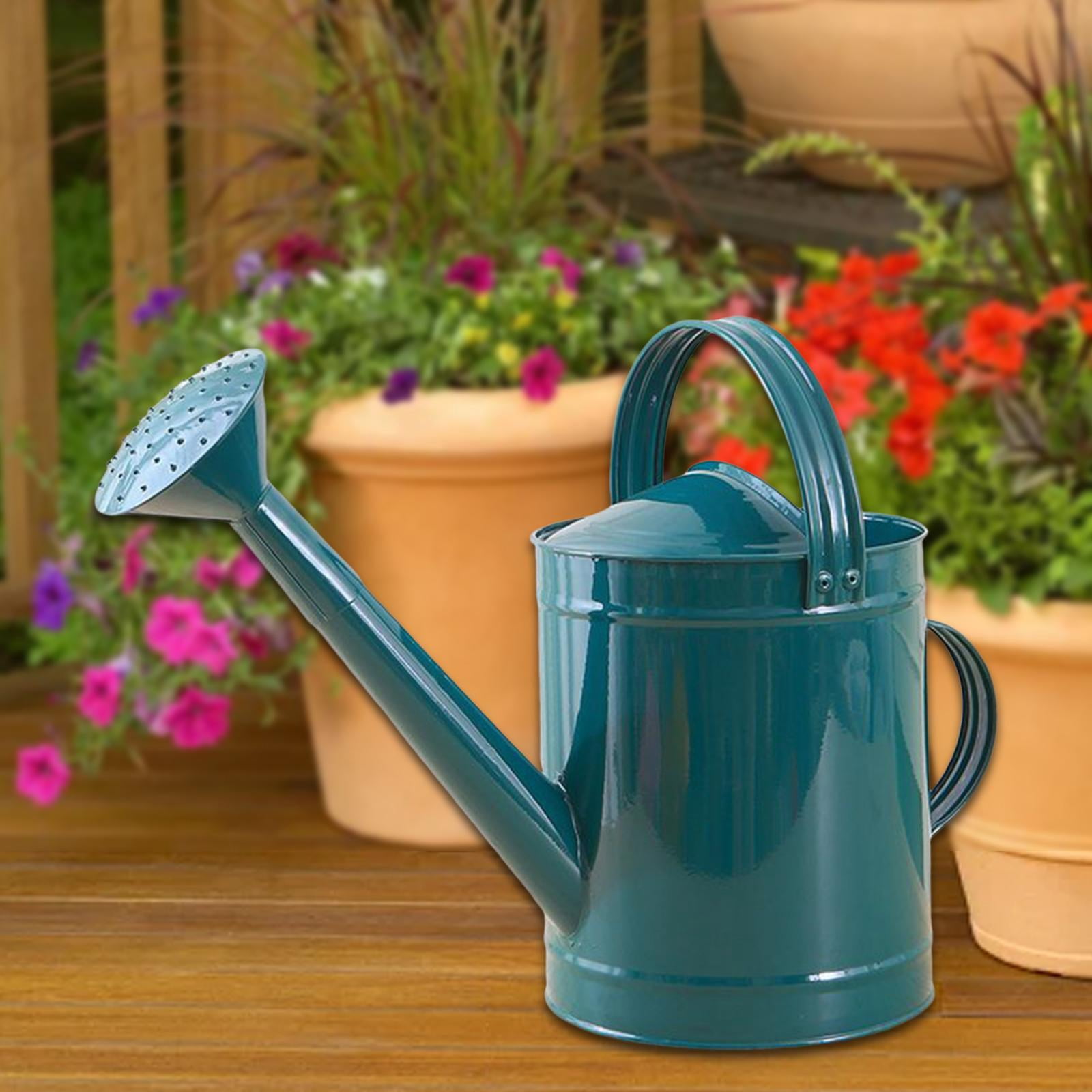 YWMJZEU 4L Watering Can with Handle, Leak, Removable Spout, Garden Tool, Rust-Resistant, blue
