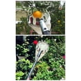 thumbnail image 3 of Toystoory Recolector de frutas de metal, huerto, jardinería, árbol alto, pera, melocotón, jardín, jardín, plantación desmontable, recolección Manual Cocina y Comedor Toystoory HA064122-00, 3 of 6