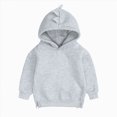 thumbnail image 2 of KPOPLK Toddler Boys Fleece Hoodies 6 9 12 18 Months 2T 3T Boy Long Sleeve Pullover Basic Solid Hooded Sweatshirts Light Gray Size 6-12 Months, 2 of 6