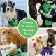 thumbnail image 5 of Guantes para el cuidado de mascotas: guantes para desenredar, bañar y masajear suavemente gatos, perros, caballos y otros animales (azul, grande) Rojo Verde Cocina, Decoración y Otros, 5 of 5