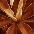 thumbnail image 2 of Art.com Santa Fe II Stretched Canvas Print Wall Art by Caroline Kelly, 24" x 24", 2 of 4