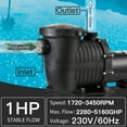 thumbnail image 2 of LANCHEZ In/Above Ground Pool Pump, High Flow (Variable Speed, 2 HP, 6600 GPH, 230V), 2 of 5
