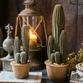 thumbnail image 2 of Artificial Cactus in Brown Pot, 2 of 11