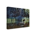 thumbnail image 2 of Trademark Fine Art 'Summer Loon' Canvas Art by Ron Parker, 2 of 3